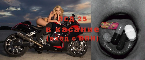 гашик Дмитриев