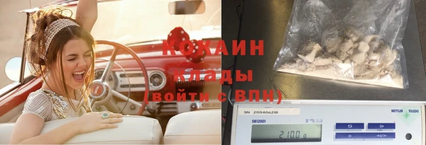 мдпв Дмитровск