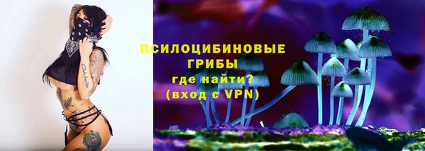 гашик Дмитриев