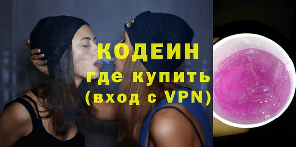 гашик Дмитриев