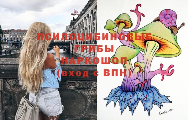 мдпв Дмитровск