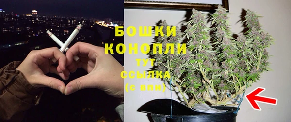 гашик Дмитриев