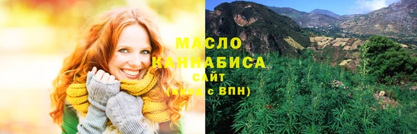 гашик Дмитриев