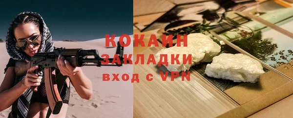 гашик Дмитриев