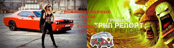 мдпв Дмитровск