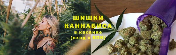 мдпв Дмитровск