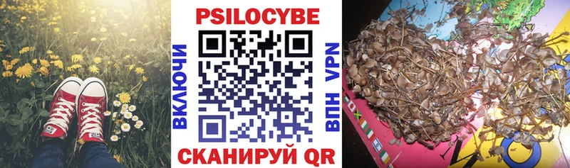 Галлюциногенные грибы прущие грибы  Купить закладки  Ермолино 